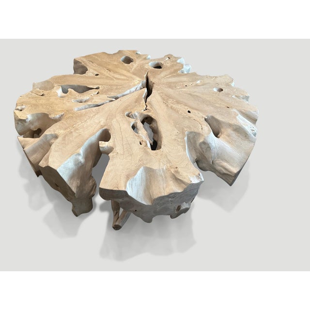 Andrianna Shamaris Bleached Teak Wood Organic Coffee Table For Sale In New York - Image 6 of 18