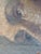 Baroque Portrait of a Friar, 1600s, Oil on Canvas For Sale - Image 3 of 8