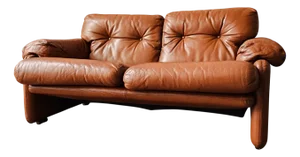 Coronado Two-Seater Sofa by Afra & Tobia Scarpa for B&B Italia, 1960s