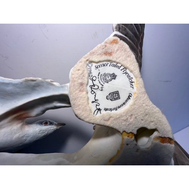 Mid 20th Century Dorothy Doughty Scissor Tailed Flycatchers - a Pair For Sale - Image 16 of 16