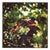 Paul Cooklin, Maple Leaves Bokeh, Edition of 50 For Sale