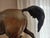 Mid 19th Century Bronze Pj Mene Arab Mare With Saddle and Rifle Sculpture For Sale - Image 14 of 16