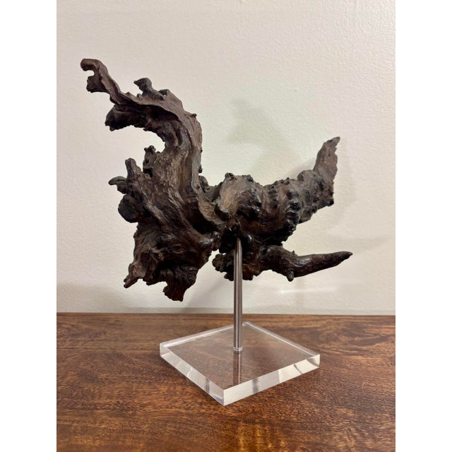 Striking vintage natural burl wood specimen sculpture, beautifully mounted on a clear Lucite base. The wonderfully...