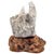 Selenite Crystal Formation on Quartz Matrix, Burl Wood Base, 7.5" For Sale In San Francisco - Image 6 of 14