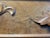 Vintage Chest With Original Appliqués and Pear Carved Handles, Racetrack Molding Drawers For Sale - Image 4 of 12