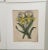Late 19th Century Vintage Botanical Chromo Lithographs - Set of 4 For Sale - Image 5 of 6