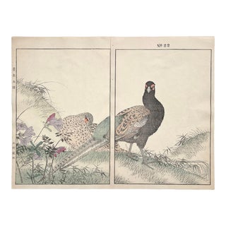 Imao Keinen, "Azalea, Fern, Pheasant" 1891 First-Edition Antique Japanese Woodblock Print For Sale