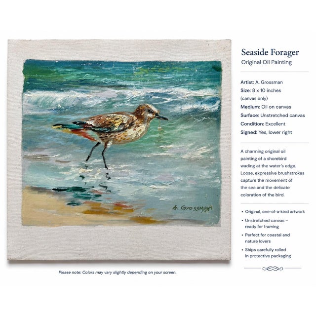 Coastal Sandpiper Oil Painting on Canvas by A. Grossman, 8 X 10" For Sale - Image 4 of 4