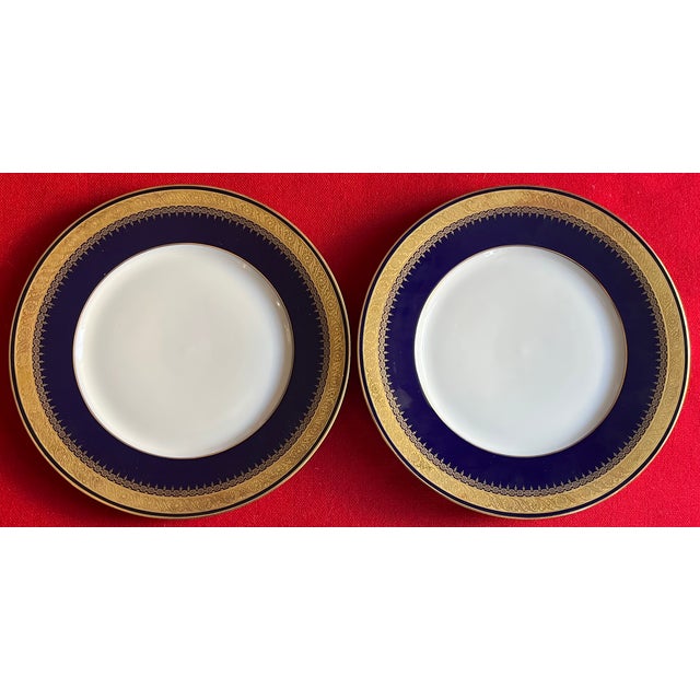 German Cobalt Blue and White Porcelain Dinner Plates With Gold Rims by Hohenberg Ware Hutschenreuther Bavaria - Set of 12 For Sale - Image 10 of 14