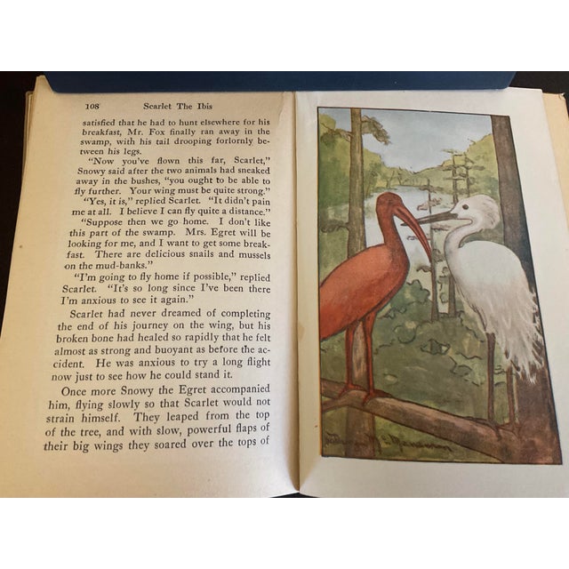 Paper Rare Early 20th Century Book by George E. Walsh Titled Scarlet the Ibis Circa 1918 For Sale - Image 7 of 9