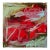 Contemporary Abstract Oil on Canvas "Time for Some Red" by Petra Schott For Sale