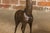 This charming pair of mid-20th-century American bronze giraffe sculptures exudes a playful and whimsical character, a...
