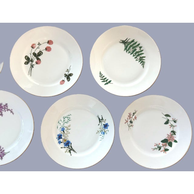 Late 19th Century Limoges Cabinet Plate Collection - Set of 8 For Sale In New York - Image 6 of 16