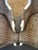 French Vintage French Bergere Cheetah Chairs, 2 Pieces For Sale - Image 3 of 5
