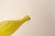 Italian Modernist Yellow, Orange, and Green Glazed Ceramic Fish Form Vide Poche For Sale - Image 14 of 14