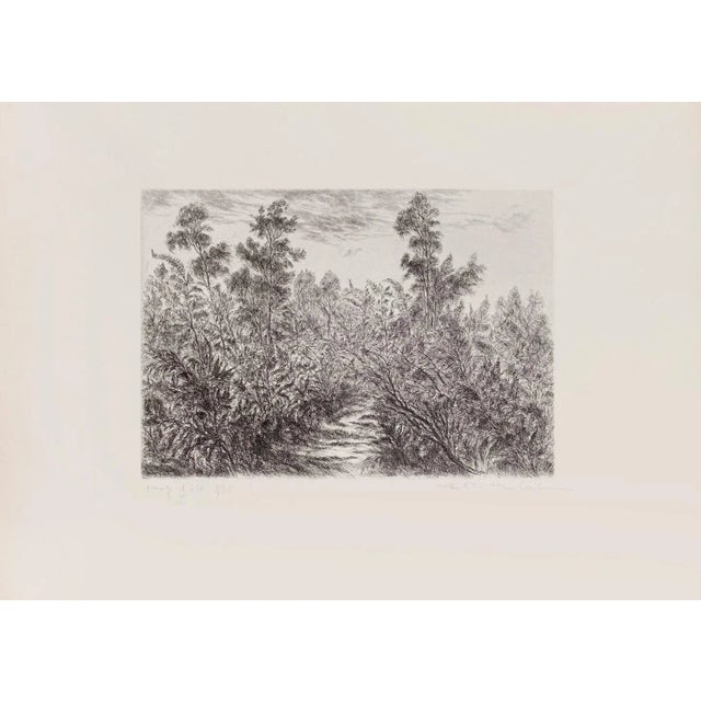 Landscape is an original etching on paper realized by Paulette Humbert. Hand-signed on the lower right in pencil....