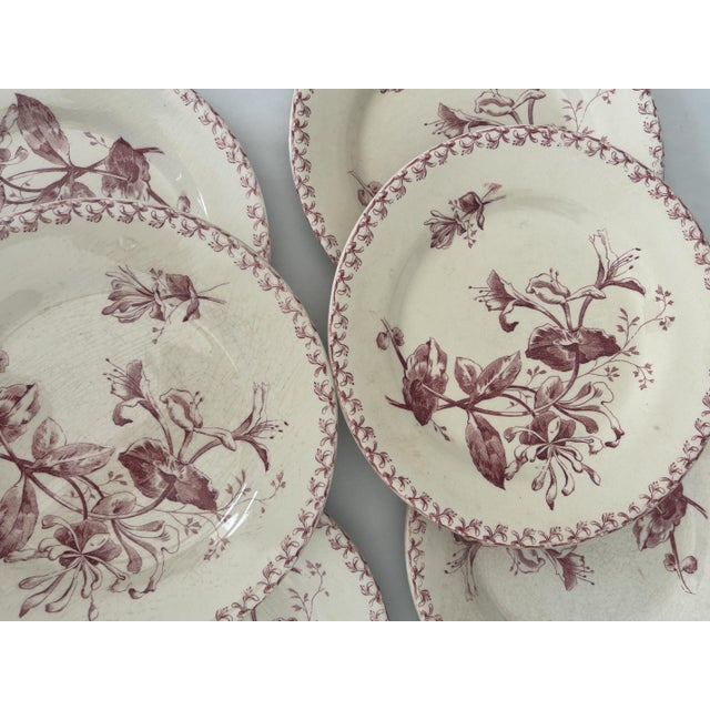 Ceramic Antique 19th Century Plates in Ironstone Red Honeysuckle and Earthenware from Gien, 1890s, Set of 6 For Sale - Image 7 of 8