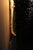 Black Gravity Sconce in White Cast Bronze by William Guillon For Sale - Image 8 of 12