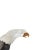 Eagle in Quartz and Silver For Sale - Image 4 of 6