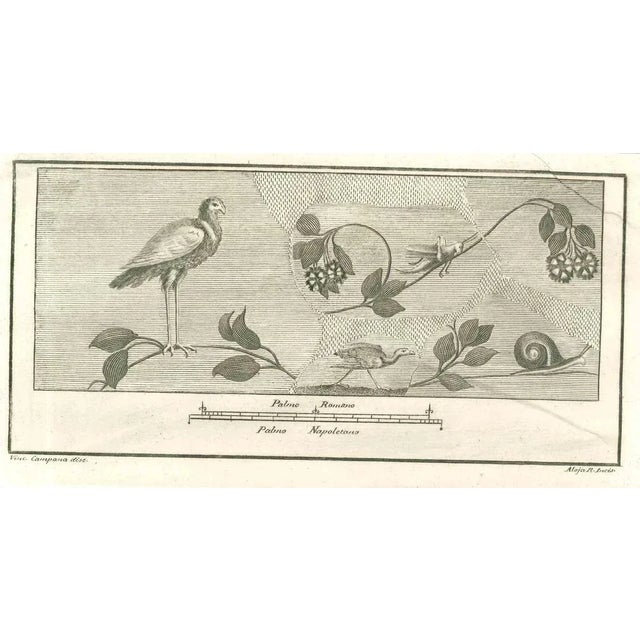 Birds Pompeian Fresco from "Antiquities of Herculaneum" is an etching on paper realized by Vincenzo Campana in the 18th...