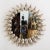 Cast bronze mirror with oyster shell motif surround by Claudio Gonzalez. Nature Collection For the curious mind, Nature...