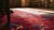 1920s Red Vase Floral Antique Chinese Art Deco Rug 9' X 11'9" Handknotted Wool Carpet For Sale - Image 12 of 14