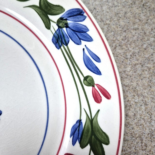 1940s Hand Painted Vintage Blue Ridge Plate: "Tumbling Petals" From Southern Potteries Usa For Sale In Chicago - Image 6 of 14