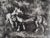 Marc Chagall, The Wolf and the Lamb, Original Engraving For Sale - Image 4 of 5
