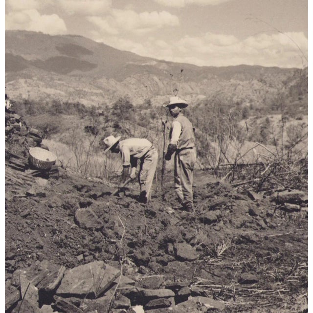 Hanna Seidel (1925 to 2005) lived and worked in Argentina for many years. She was a world traveller, journeying to South...
