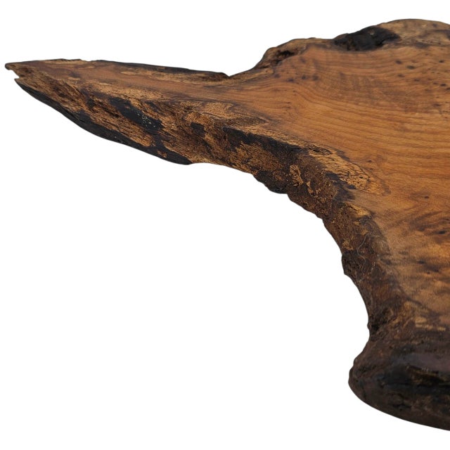Japanese Bonsai Stand Organic Modern Wood Burl Shou Sugi Ban16" For Sale In San Francisco - Image 6 of 10