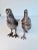 Metal Contemporary Silver Pheasant Figures, a Pair For Sale - Image 7 of 9