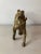 A beautifully detail horse figure in English brass. Hand sourced in and imported from England.