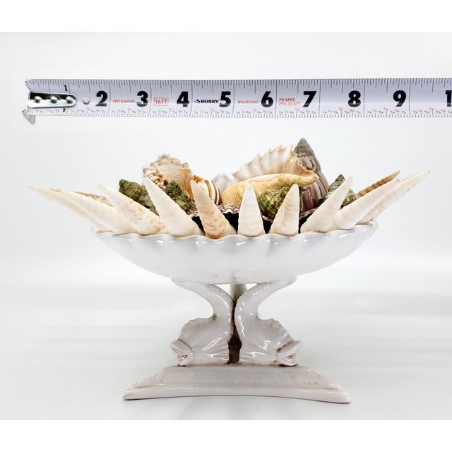 Bowl Seashells Shells For Sale In Miami - Image 6 of 14