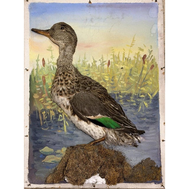 Modern Half Duck, Gouache Painting For Sale - Image 3 of 13