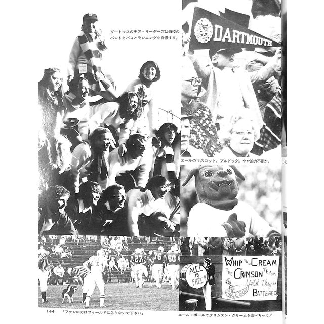 "Ivy Bowl" 1977 Hayashida, Teruyoshi For Sale - Image 10 of 14