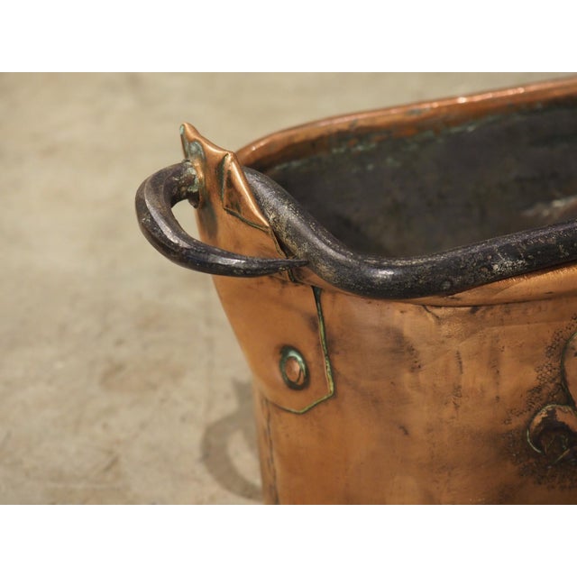 Metal Circa 1900 French Double Lion Passant and Fleur De Lys Copper Poissonnière For Sale - Image 7 of 18