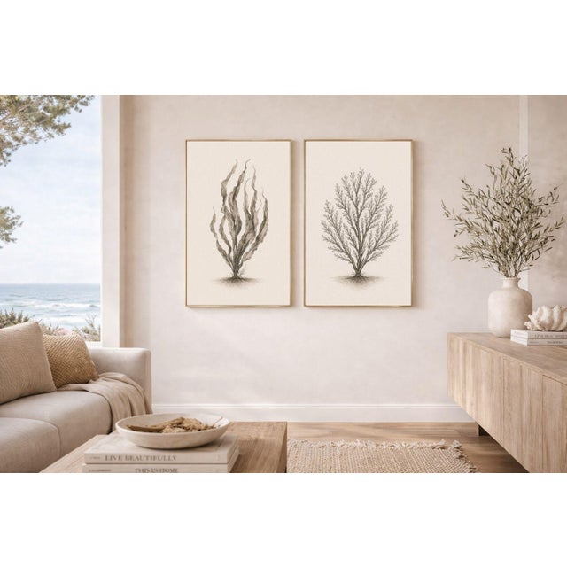 Not Yet Made - Made To Order Coastal Botanical Study Set of 2, Minimalist Seaweed & Coral Art Prints, 24" × 36" Each Reproduction For Sale - Image 5 of 8