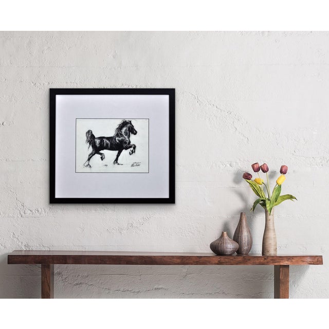 Elin Sian Blake, Black Welsh Cob, Charcoal on Paper For Sale - Image 14 of 18