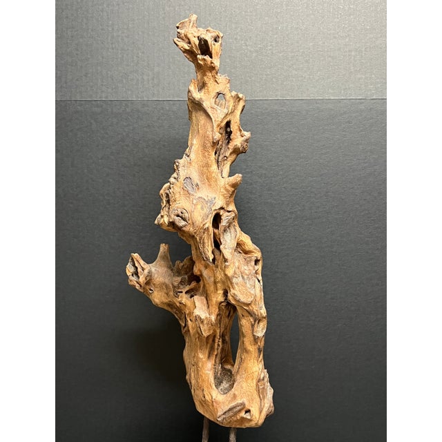 Vintage Natural Abstract Driftwood Art Sculpture on Wooden Base For Sale In New York - Image 6 of 12