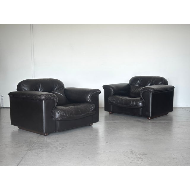Leather Model DS 101 Armchairs from de Sede, 1970s, Set of 2 For Sale - Image 4 of 13
