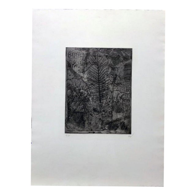 Antoni Clave, Leaf, 20th Century, Engraving For Sale
