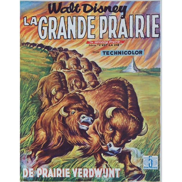 Modern Disney La Grande Prairie Film Poster For Sale - Image 3 of 8