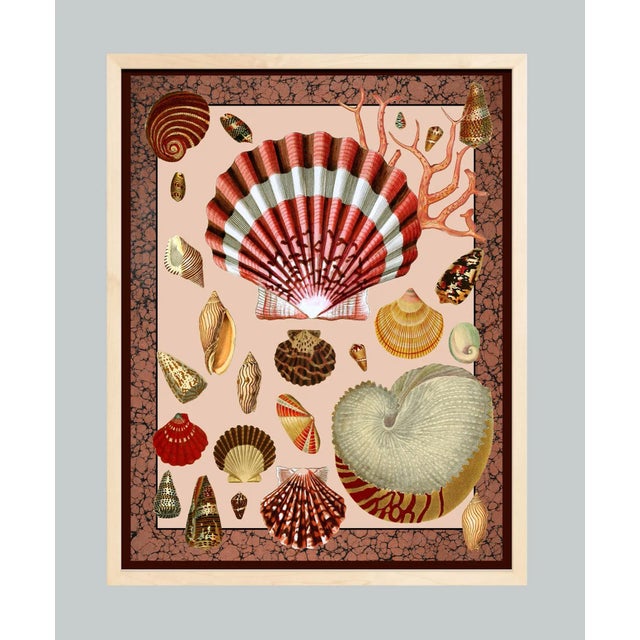 Not Yet Made - Made To Order "Coquille " Maximalist Shell Collage Print For Sale - Image 5 of 6