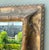 Wood Vintage Art Nouveau Ornate Carved Wood Mirror For Sale - Image 7 of 14