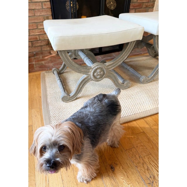 Custom French Grey Painted Neo-Classic X-Style Benches, a Pair For Sale - Image 4 of 14