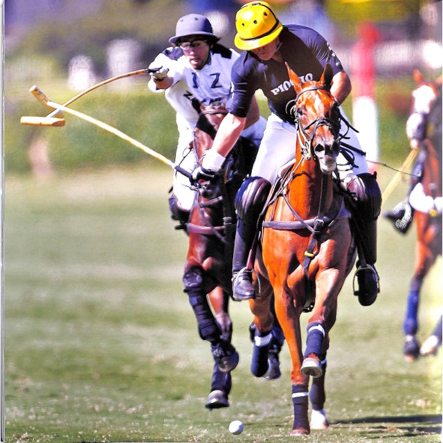 "Polo in Paradise: Celebrating the First Century of the Santa Barbara Polo Club" 2012 Fox, Steve For Sale - Image 16 of 17