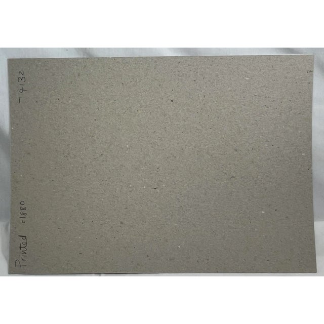 Antique Bird Print From England Showcasing a Esquimaux Curlew - Circa 1880 For Sale - Image 11 of 11