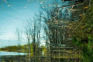 "Reflection 12" Landscape Color Photograph
