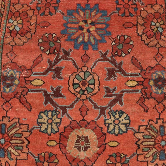 Lilian Rug in Cotton and Wool, Iran For Sale - Image 4 of 8