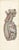 Hirschfeld and Leveille, Sympathetic Chain and Vagus in the Thorax, 1866, Paper For Sale - Image 12 of 12